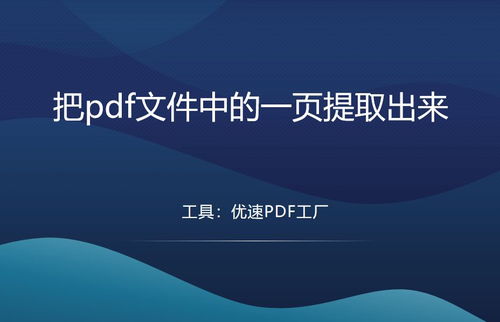 如何从PDF文件中提取指定页面 实用软件全攻略